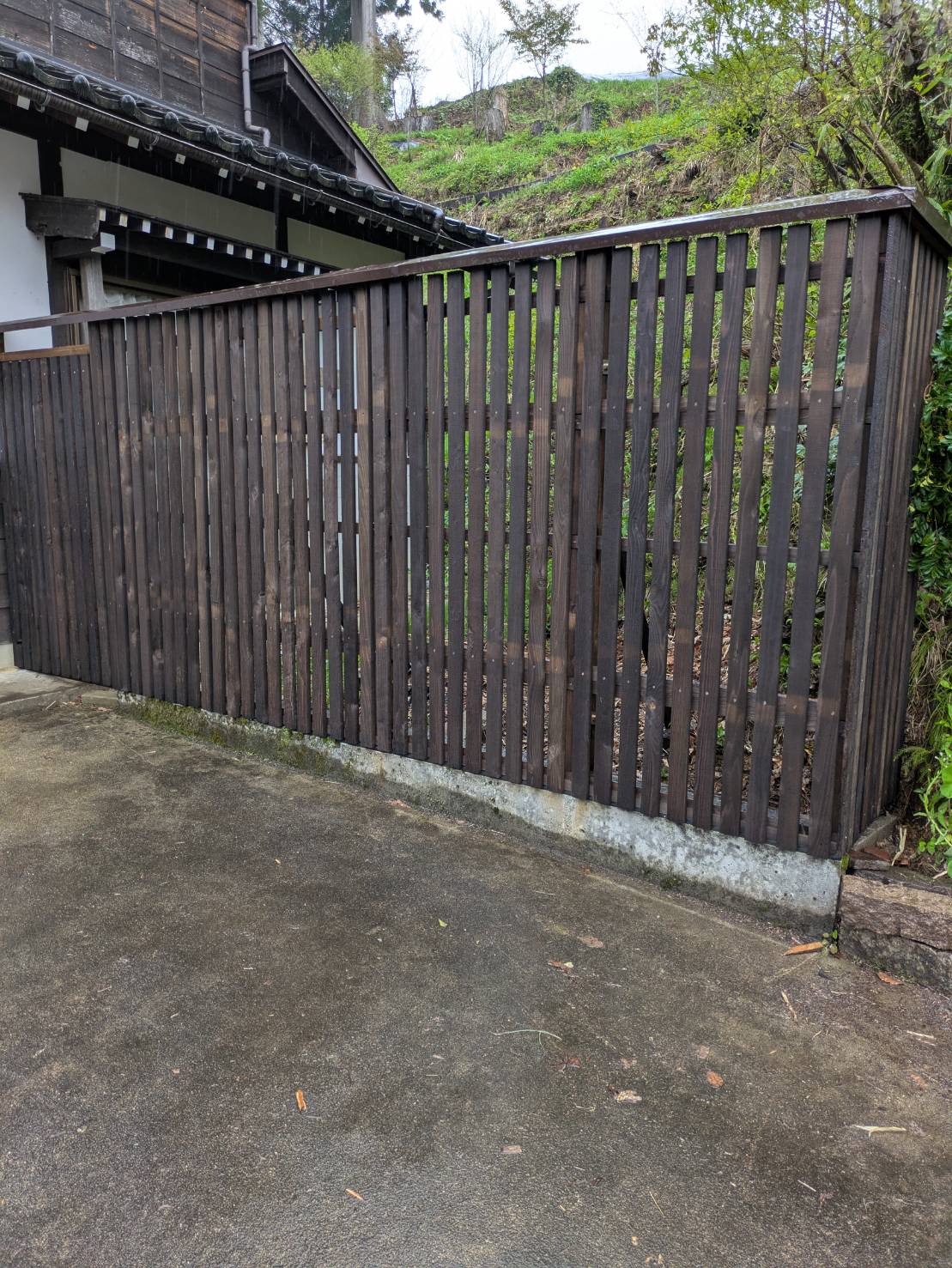 春の訪れとともに、美しさが蘇りました！