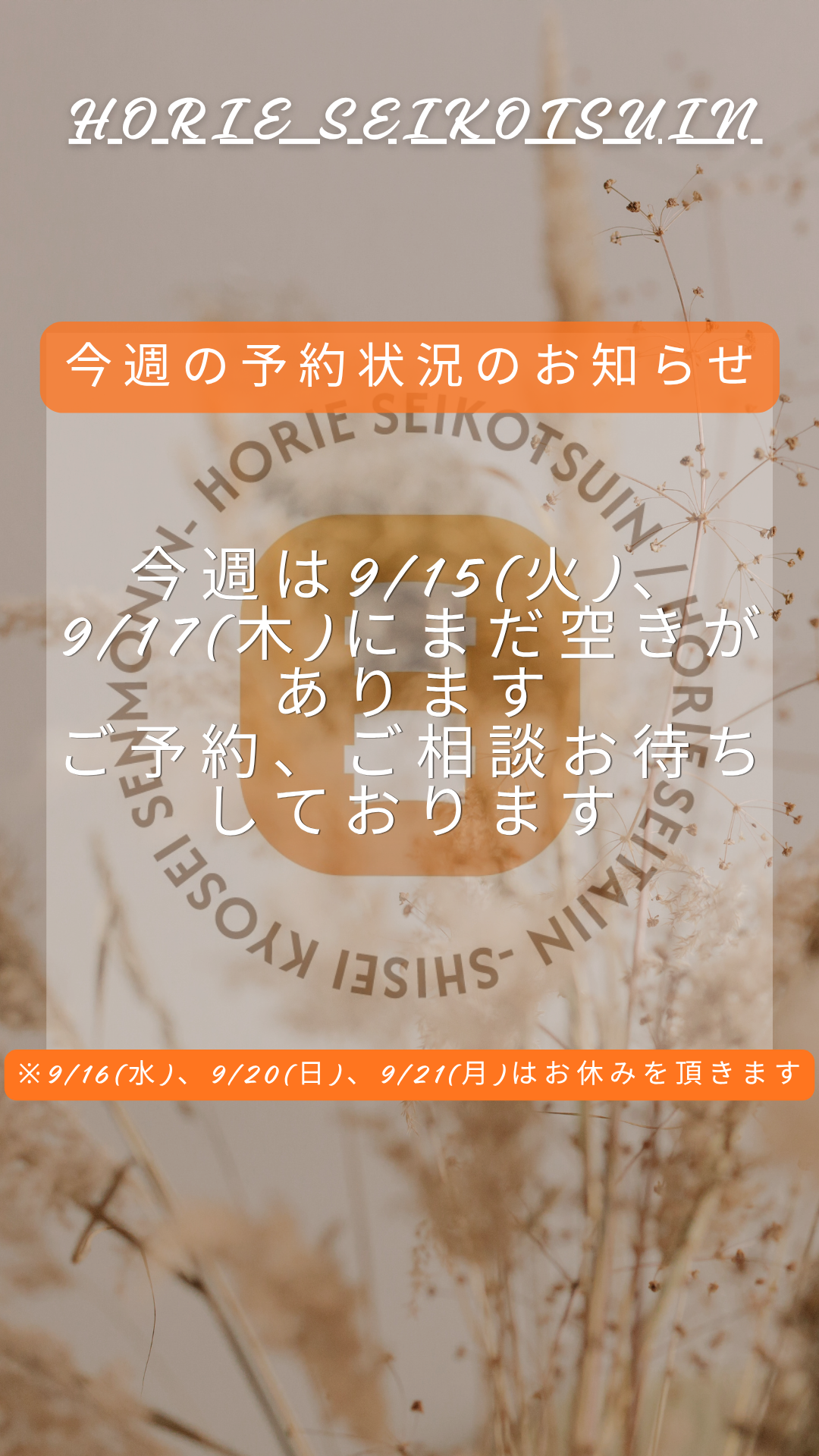 HORIE SEIKOTSUIN(8).png