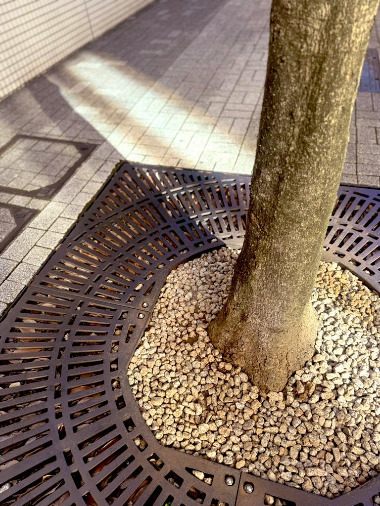 勉強したよ！！