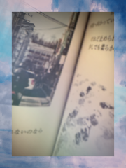 IMG_9431.png