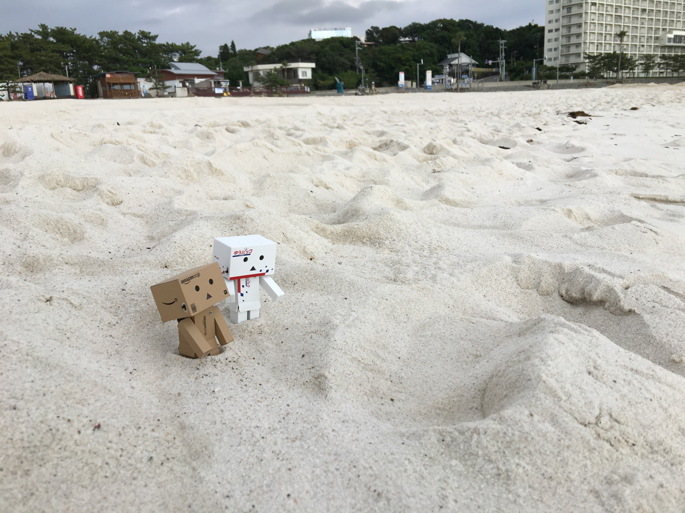 画像をクリック！