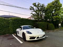 IMG_2456.jpeg