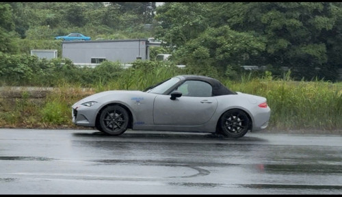 IMG_4228.jpeg