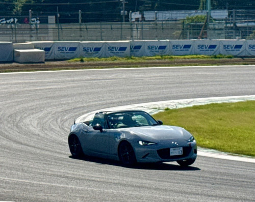 IMG_4319.jpeg