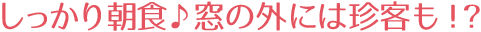osyokuji_titleimg07.png