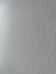 IMG_9997.jpg