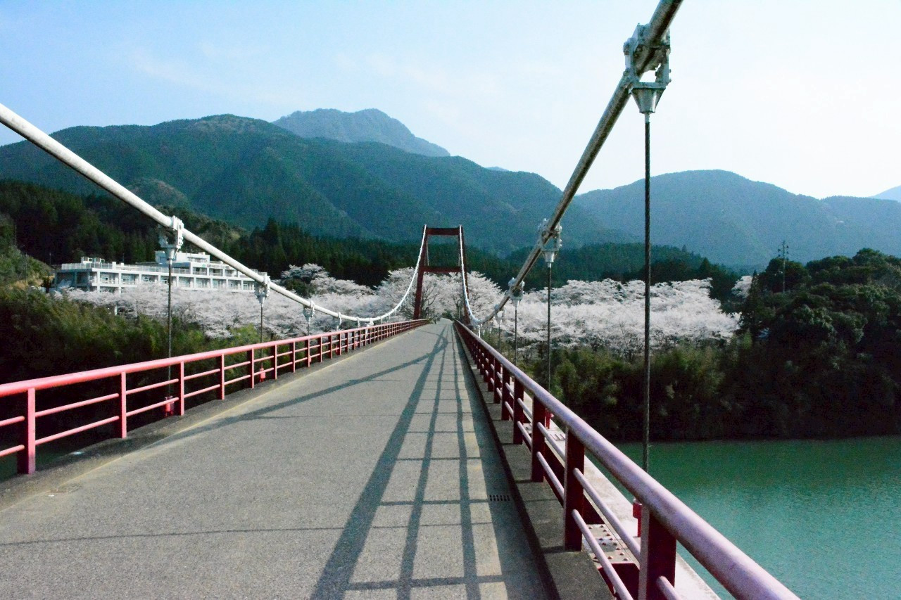 橋