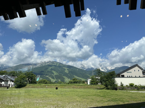 IMG_6503.jpeg