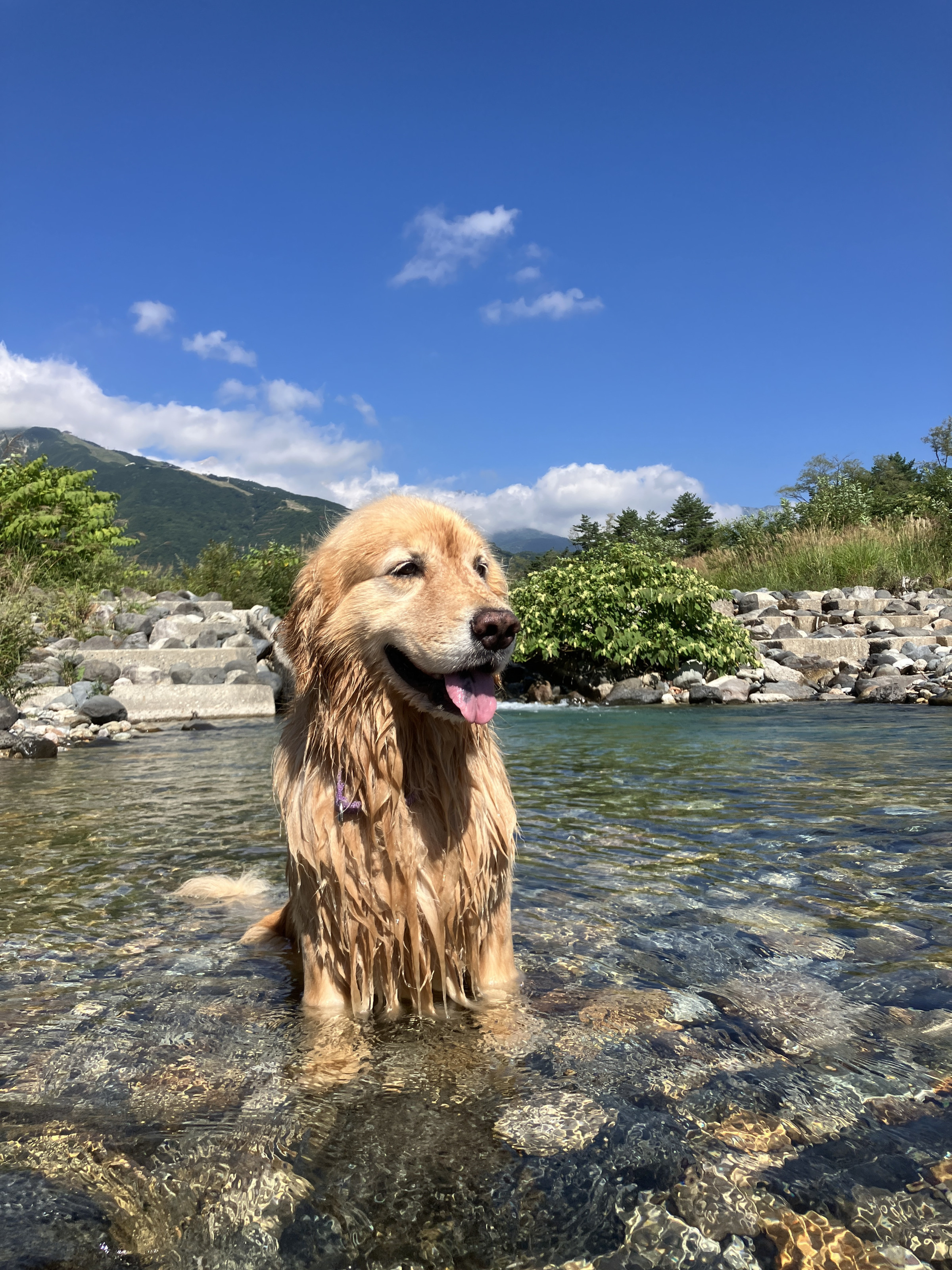 ピレモンから歩いていける水遊びスポット