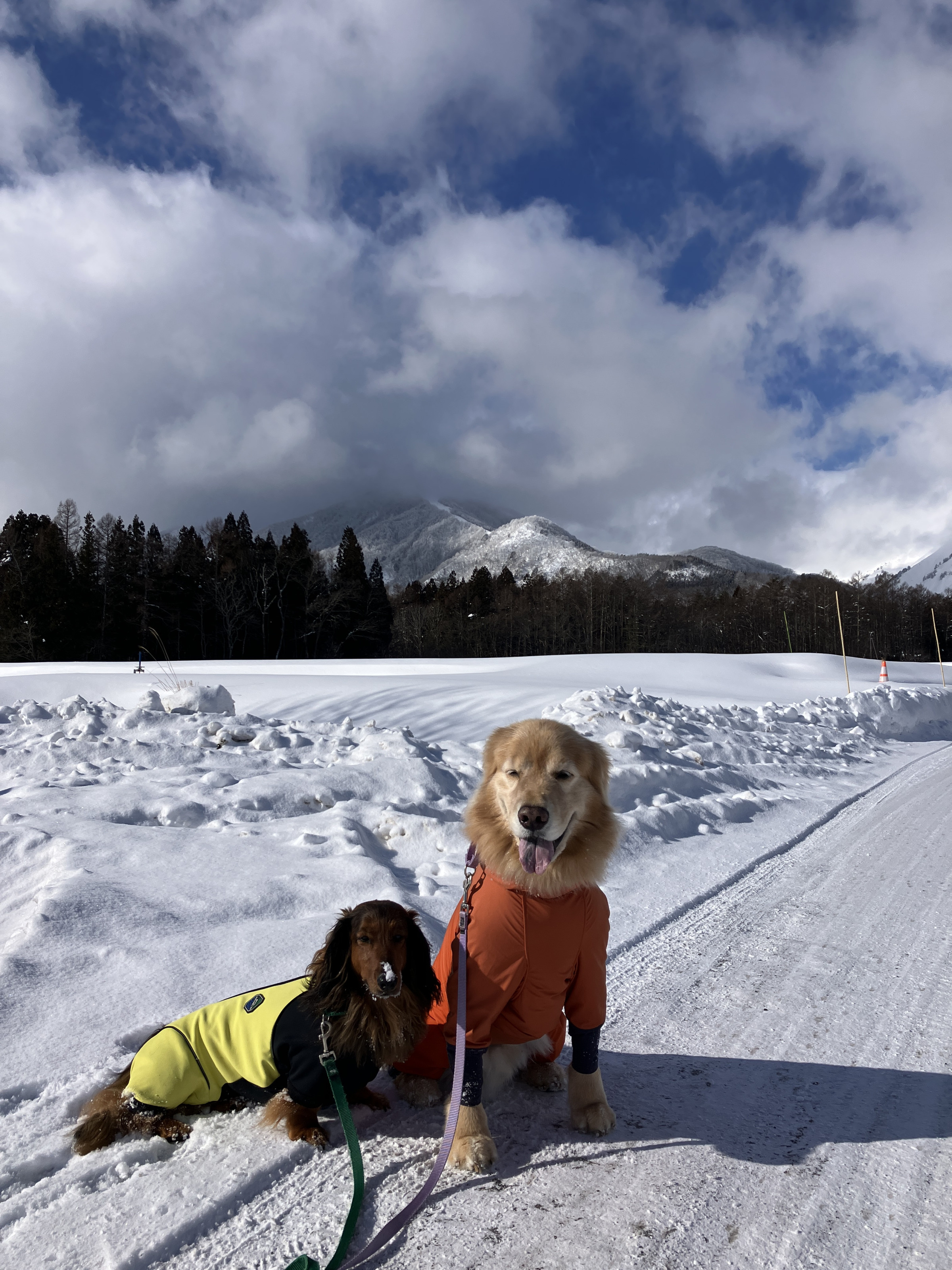 雪山で遊ぶと楽しいよ