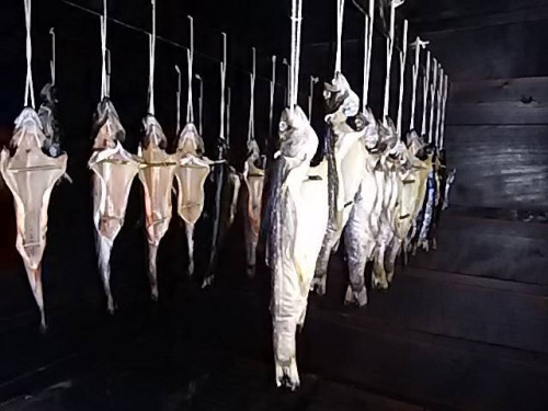 38144_0.jpg