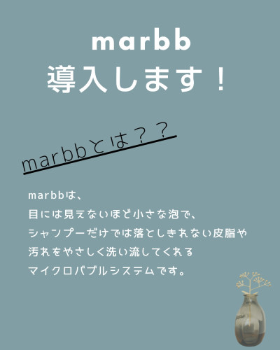 marbb導入！！