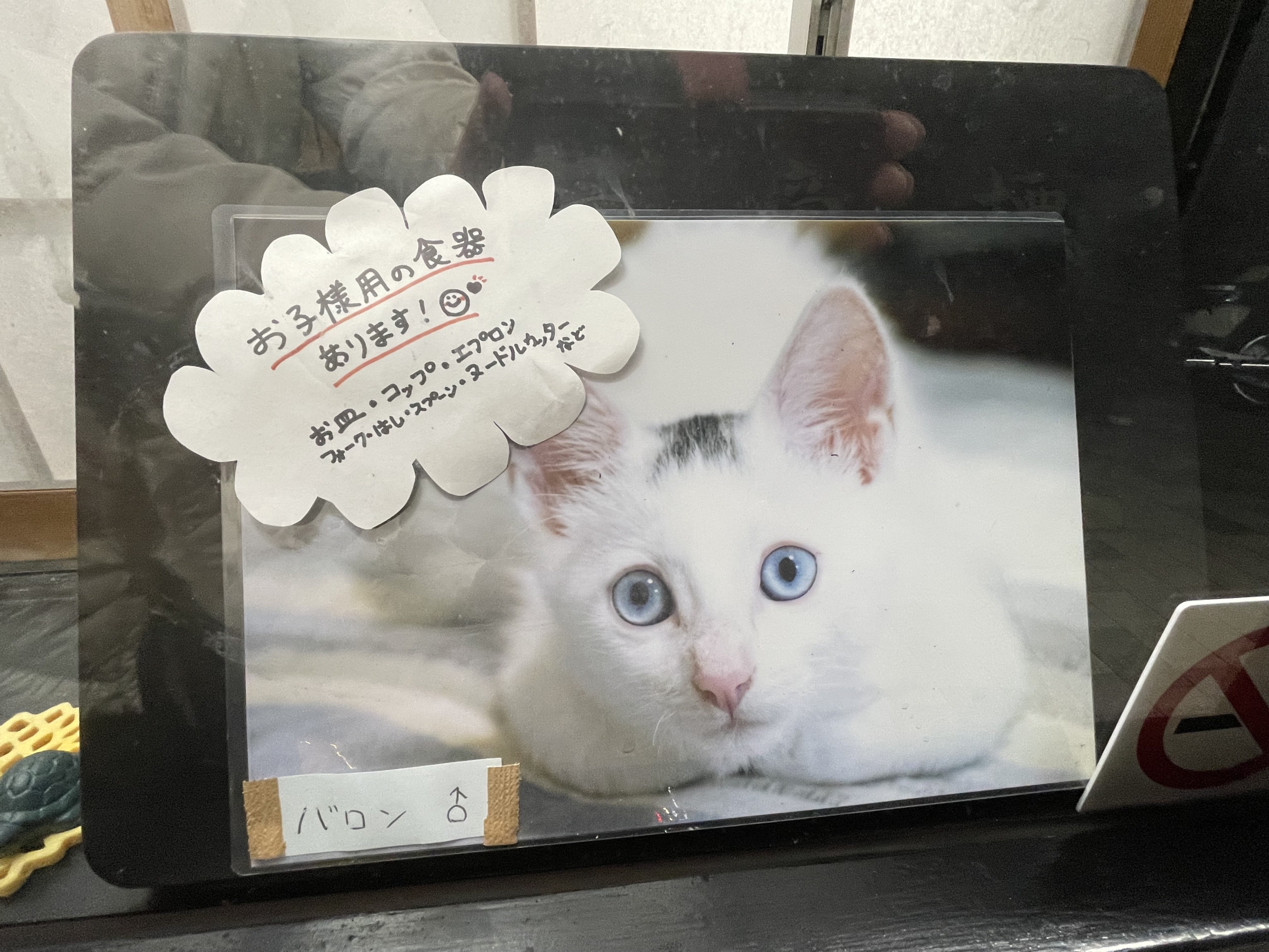 看板猫バロン