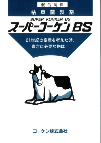 BS1.jpg