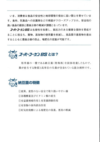 BS2.jpg