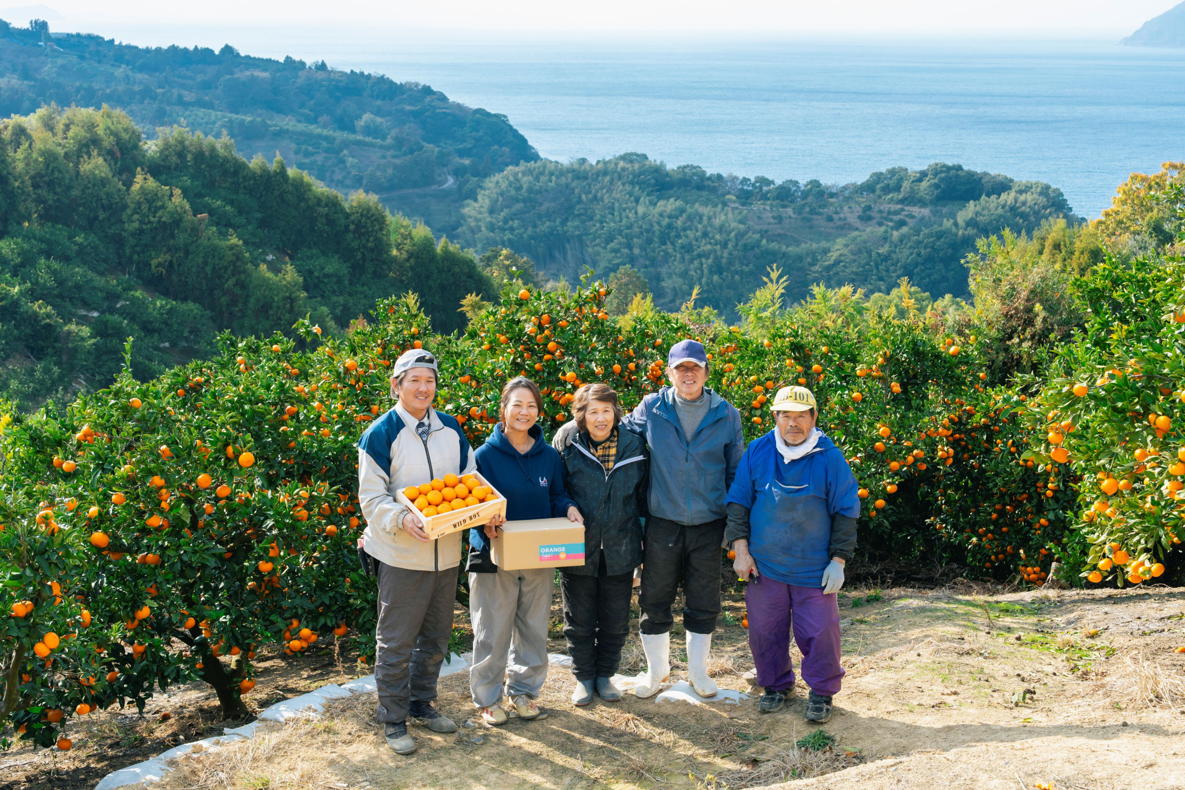 Orange Salud！柑橘産地直送｜愛媛県宇和島市吉田町