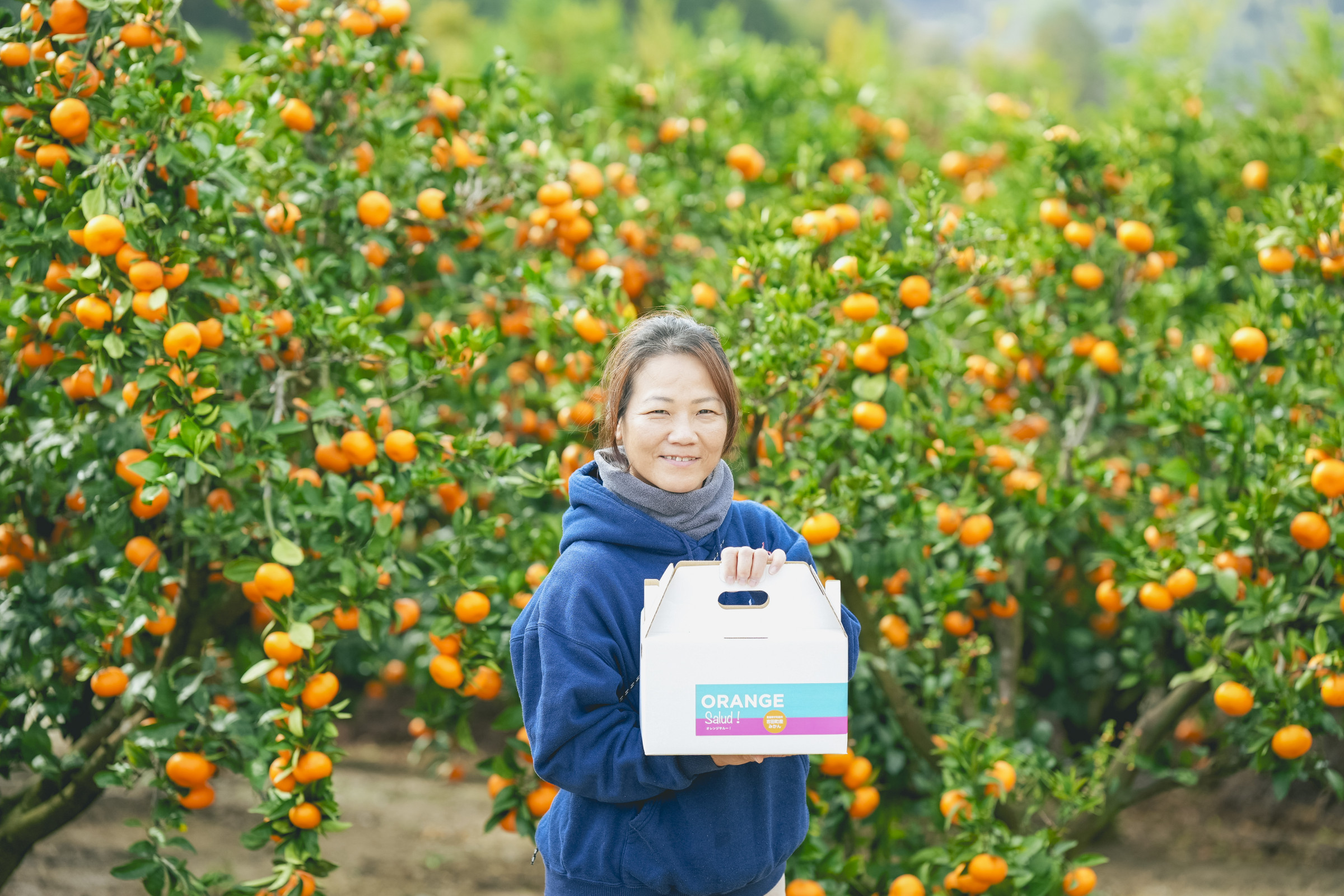 Orange Salud！柑橘産地直送｜愛媛県宇和島市吉田町