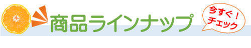 商品ラインナップ.png
