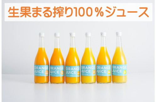 生果まる搾り１００％ジュース.png