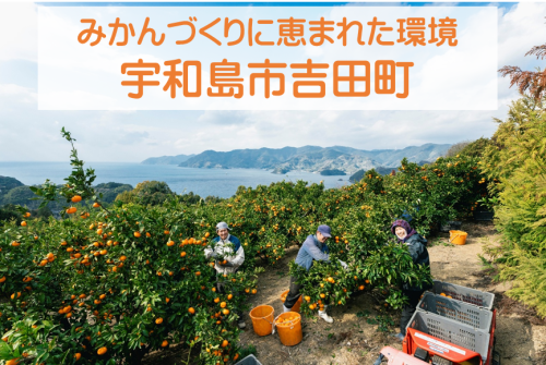 みかんづくりに恵まれた環境である愛媛県宇和島市吉田町.png
