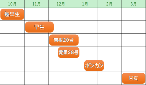 柑橘カレンダー.png