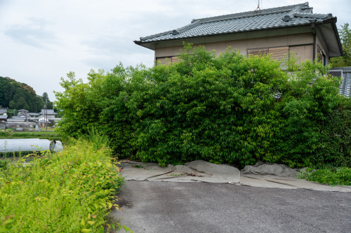 西浦造園土木-2.jpg