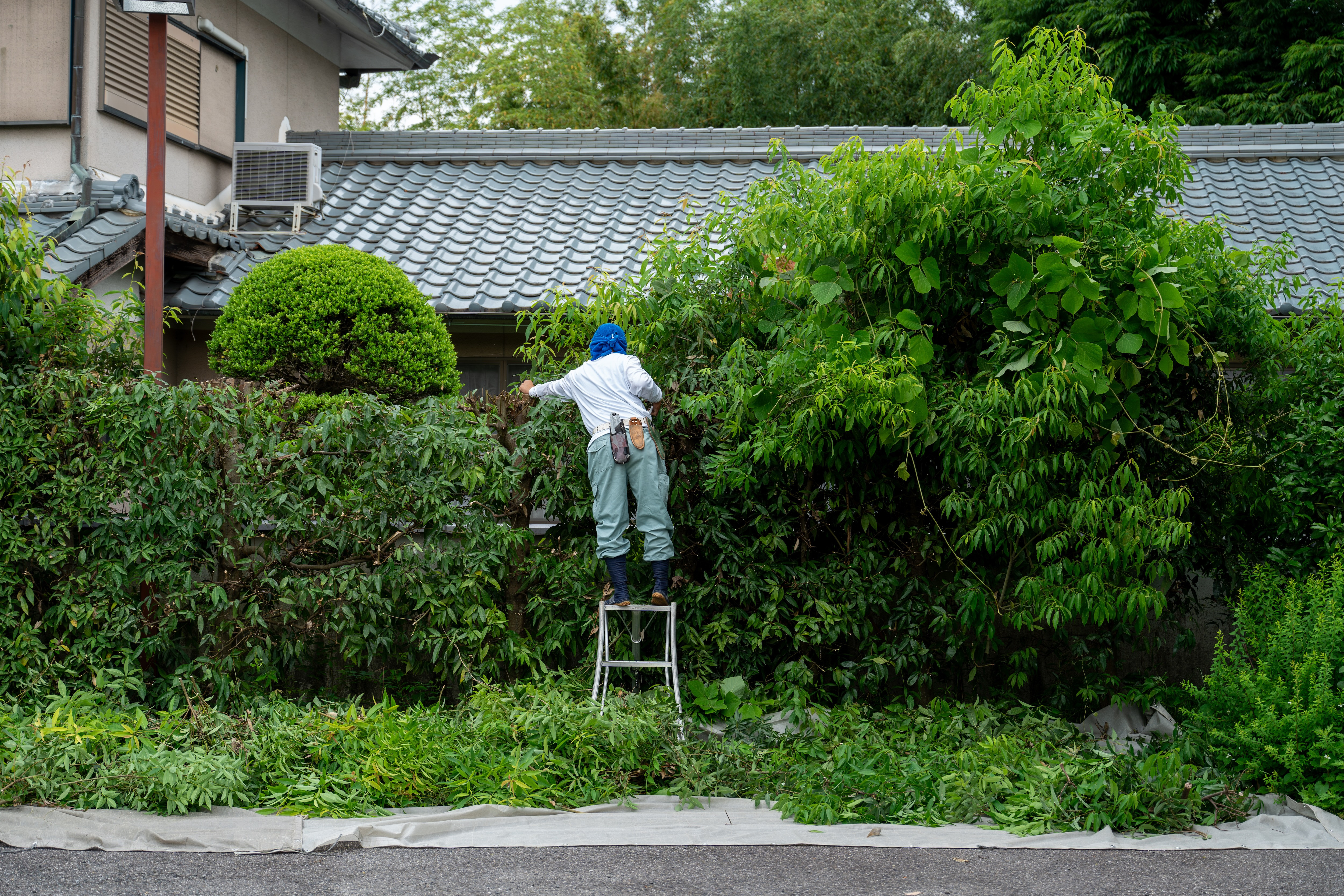 明日香村の庭師 西浦造園土木 お庭の手入れはお任せください