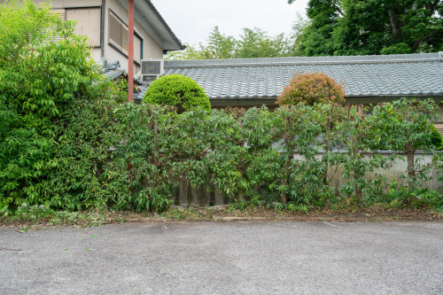 剪定作業例１：作業後