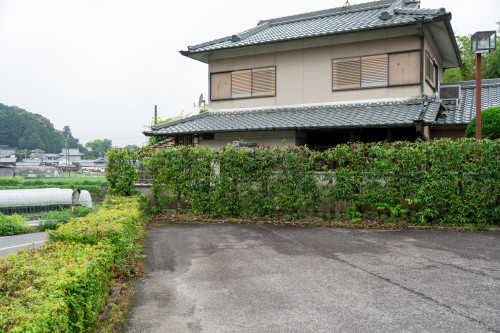 剪定作業例２：作業後