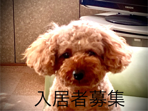 空室情報1