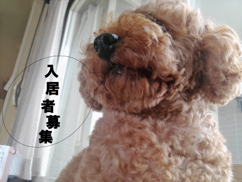 空室情報３　（１LDK）