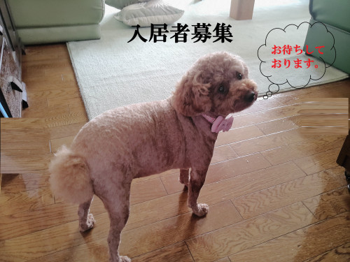 空室情報　２ＤＫ