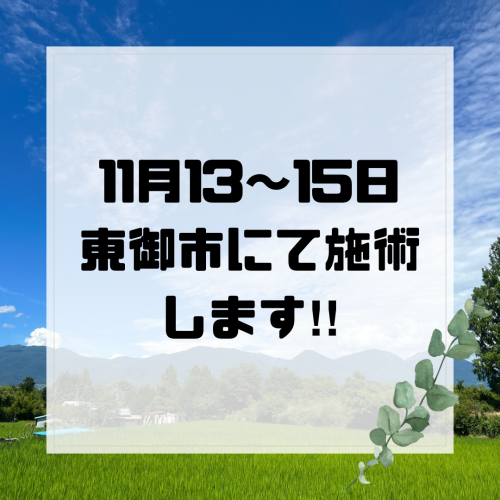 ホワイトとグリーン シンプル 暮らし インスタグラム投稿.png