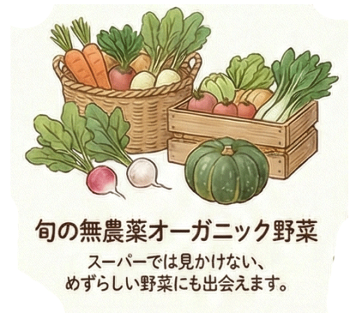 1/25 『日曜の庭先朝マルシェ』 開催