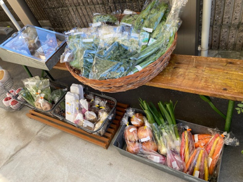 2/8 日曜の『庭先朝マルシェ』 開催