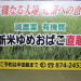 RIMG0050.JPG