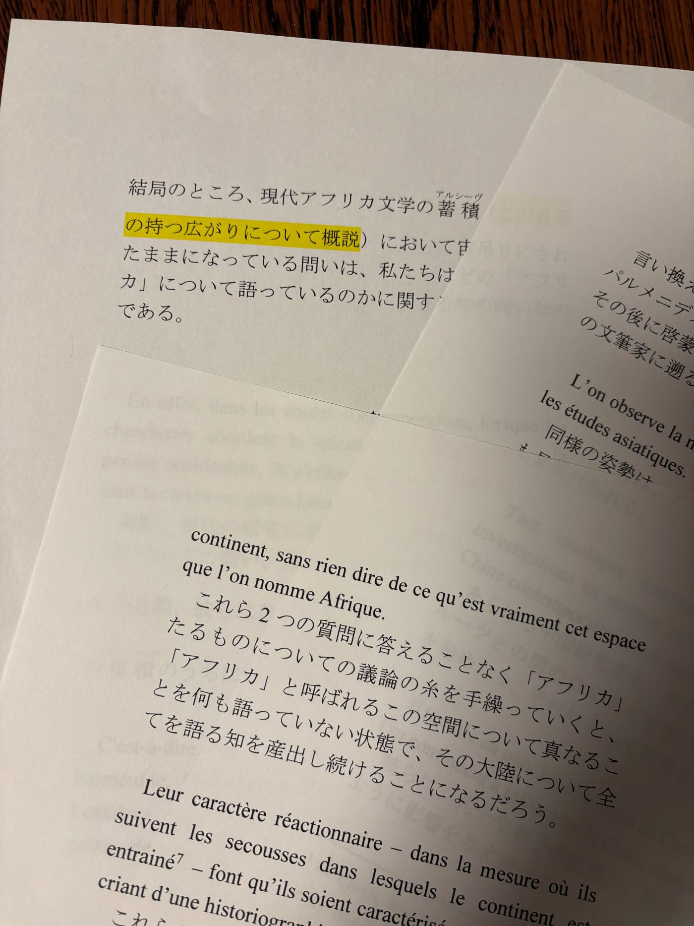 作文からアフリカ哲学へ