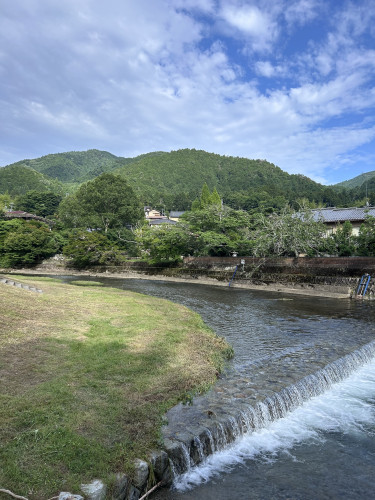 IMG_4942.jpeg