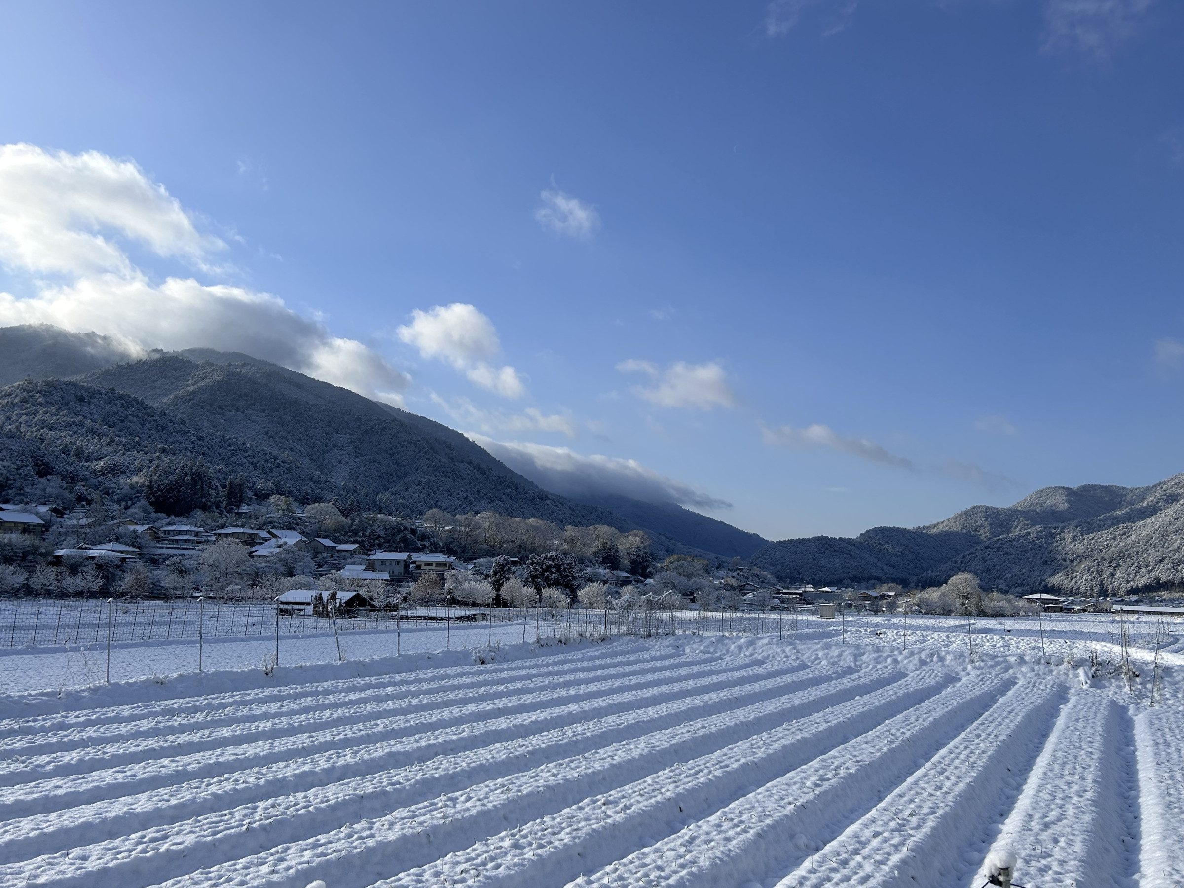 大原雪景色