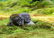 IMG_5006.jpeg