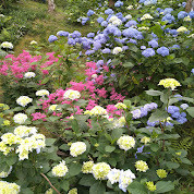IMG_5007.jpeg