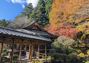 IMG_5009.jpeg