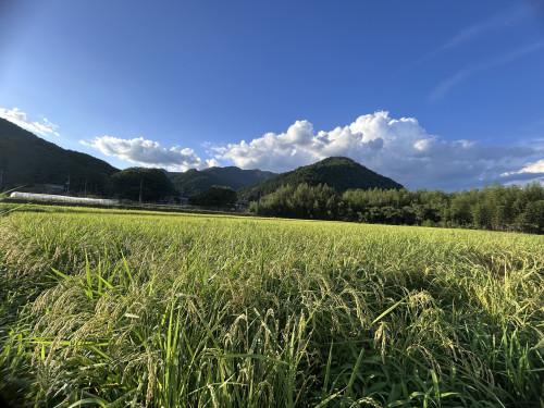 IMG_5087.jpeg