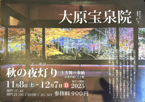 IMG_5501.jpeg