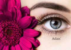Adan′.png