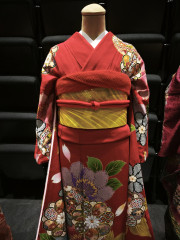 IMG_20250721_125251 (1).jpg