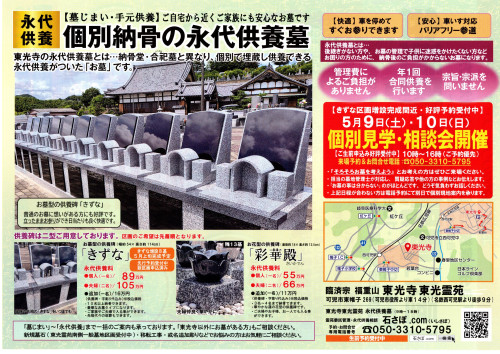260502東光寺裏.jpg