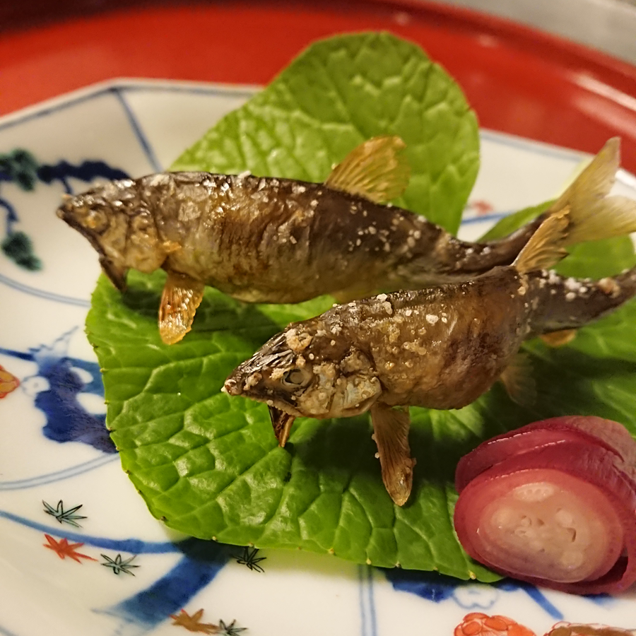 今年も6月1日より活鮎の塩焼きを始めます