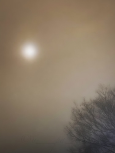 B1803497-5F20-4902-8580-DC6C726110B2.jpeg