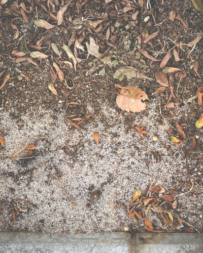 lost